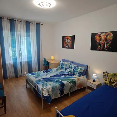 Urban Wild Appartement